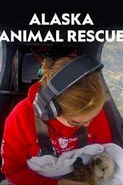 阿拉斯加野生动物救援 迅雷下载