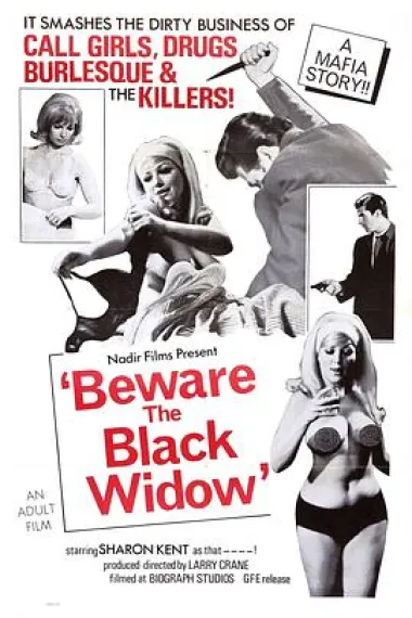 Beware the Black Widow 下载