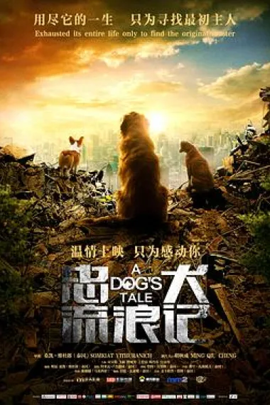 忠犬流浪记 2160P 4K 下载