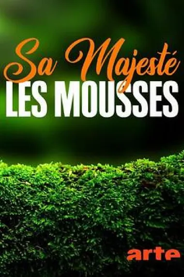 Sa Majesté les mousses 下载