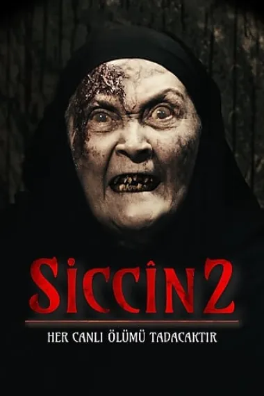 Siccin 2 下载