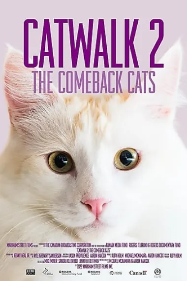 Catwalk 2: The Comeback Cats 下载