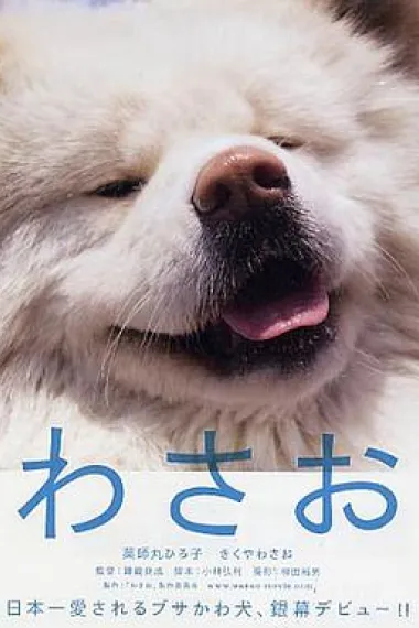 秋田犬蓬夫 下载