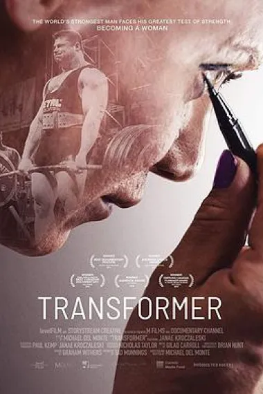 Transformer 下载