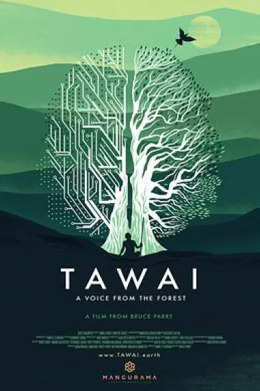 Tawai: A voice from the forest 下载