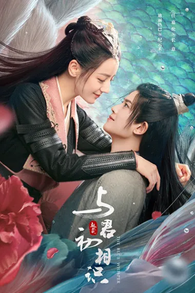 与君初相识 2160P 4K 下载