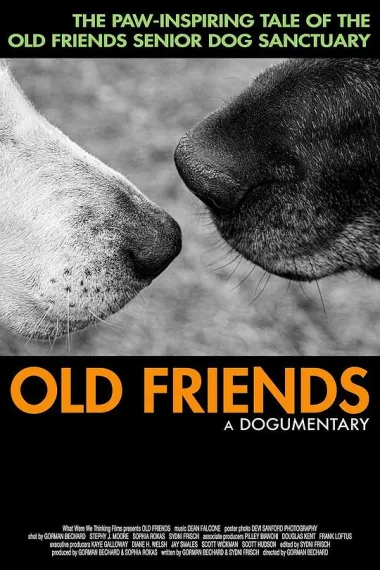 Old Friends, A Dogumentary 下载