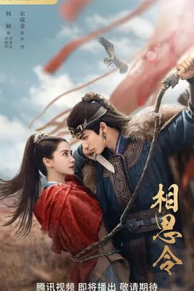 相思令 2160P 4K 下载